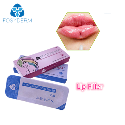 Cross‑Linked Hyaluronic Acid Dermal Filler Anti‑Wrinkle Lip Enhancement